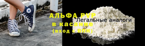 прущие грибы Арсеньев