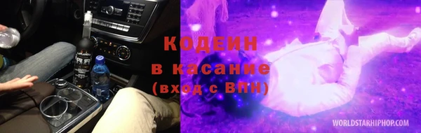прущие грибы Арсеньев