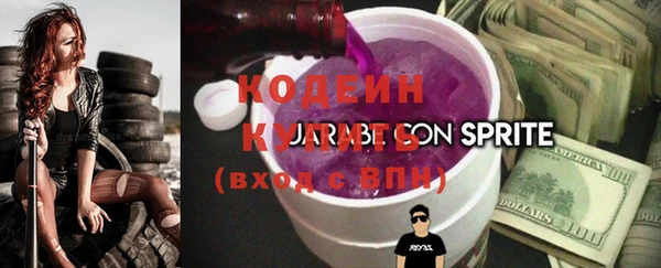 шишки Осташков