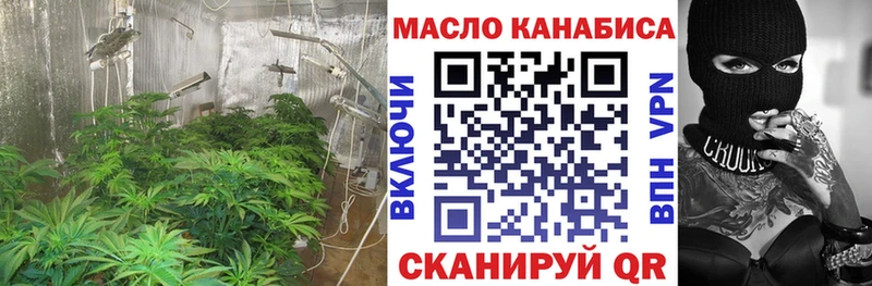 наркотики  MEGA ссылка  Дистиллят ТГК Wax  Пошехонье 