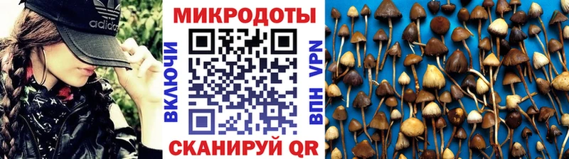 Галлюциногенные грибы мухоморы  Пошехонье 